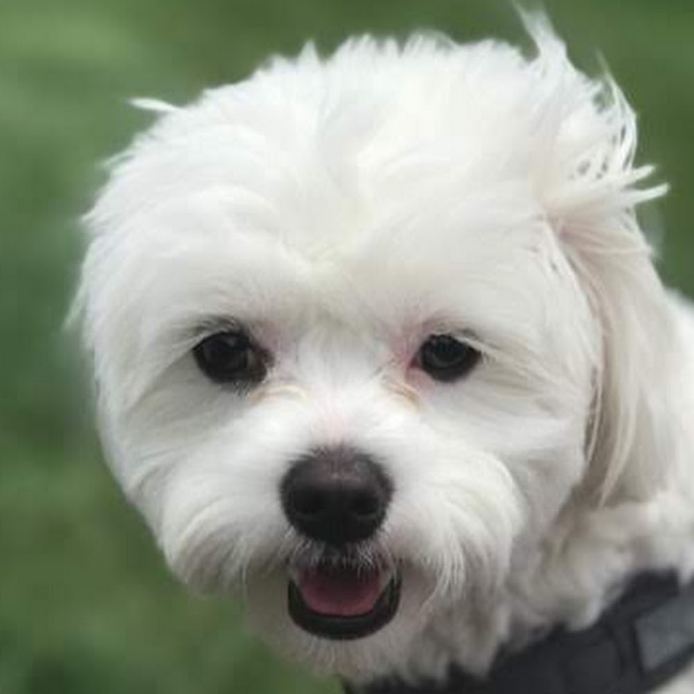 Meet your Posher, Carla